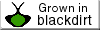 blackdirt.net